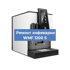 Декальцинация   кофемашины WMF 1200 S в Ижевске